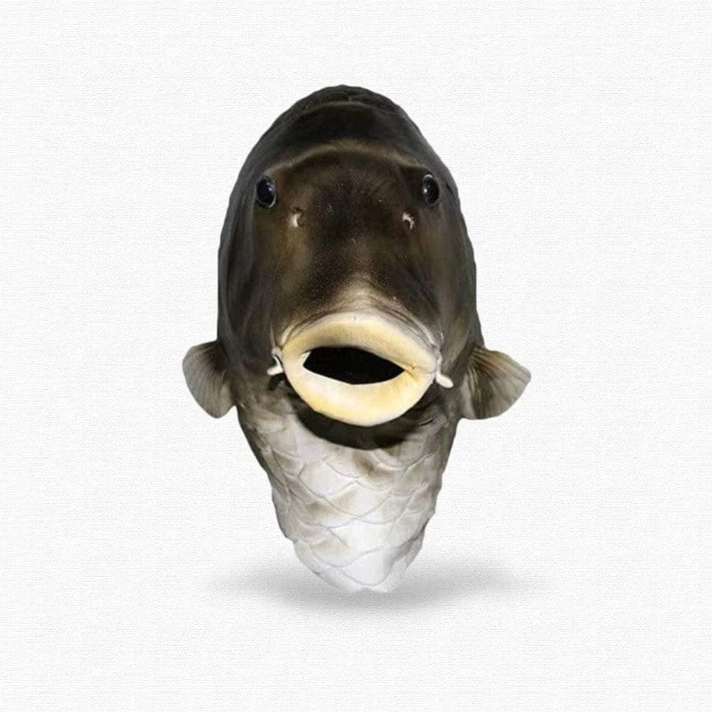 Masque Poisson 2 Masque Poisson – Image 2