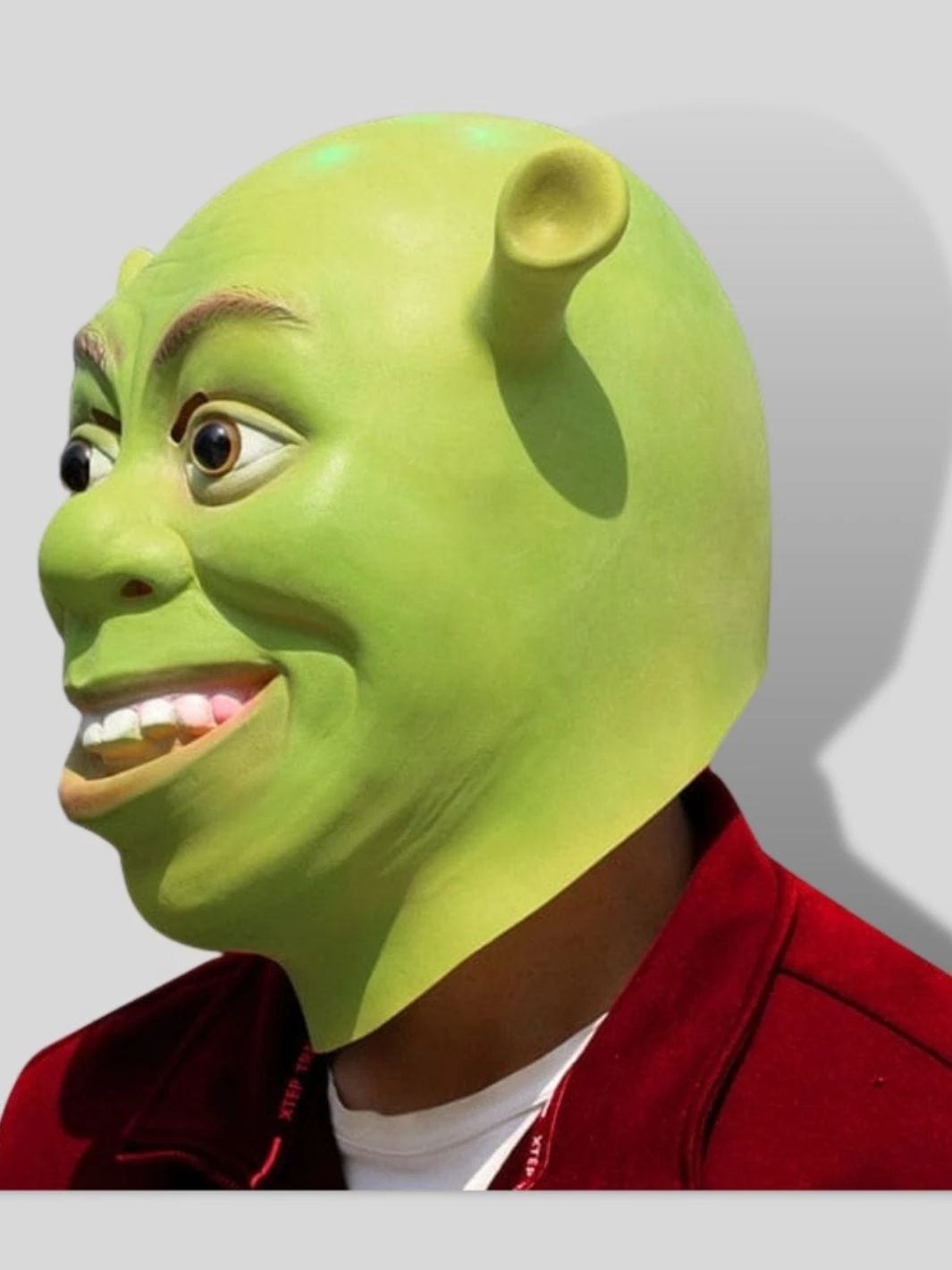 Masque Shrek 2 Masque Shrek – Image 2